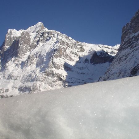 Hotel Alpenblick Grindelwald Luaran gambar