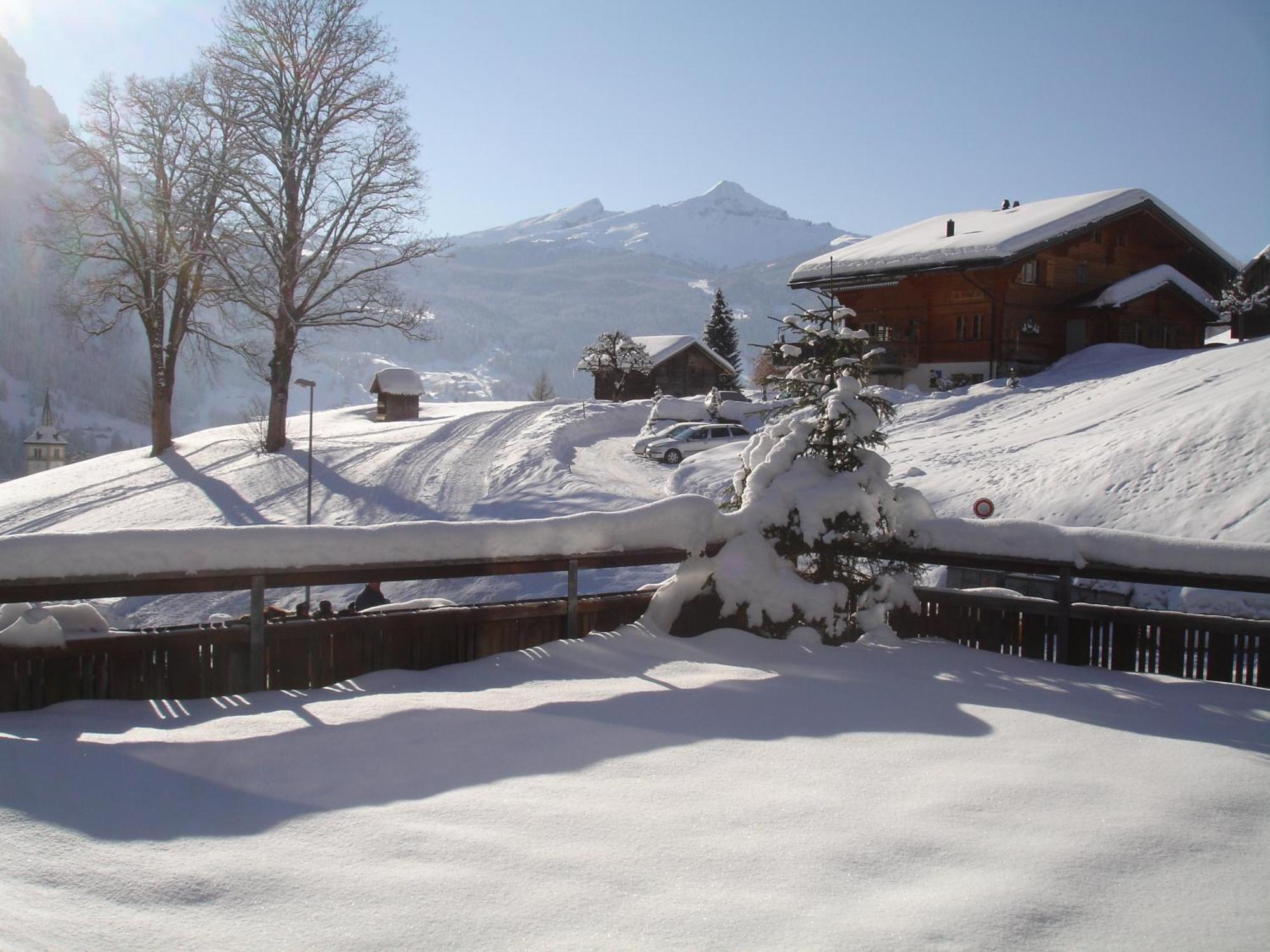 Hotel Alpenblick Grindelwald Luaran gambar